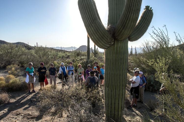 Tucson news photos of 2016