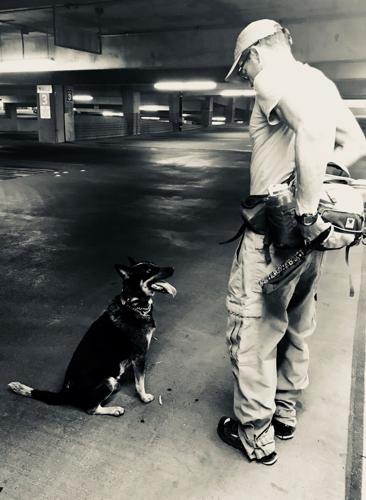 Mike Wilke and Dexter