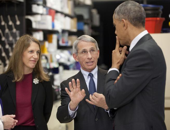 Fauci Interview