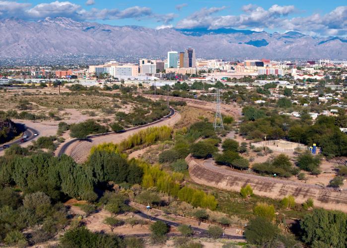 New willow groves, wetland plants grace Santa Cruz River stretch in Tucson