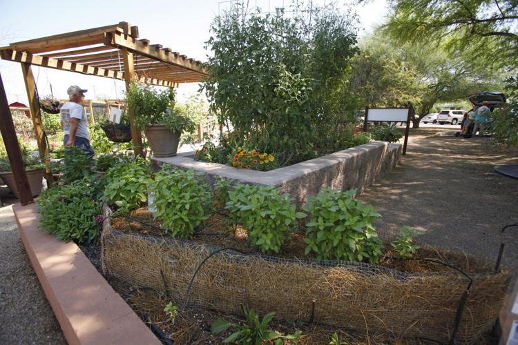 All-America Selections garden