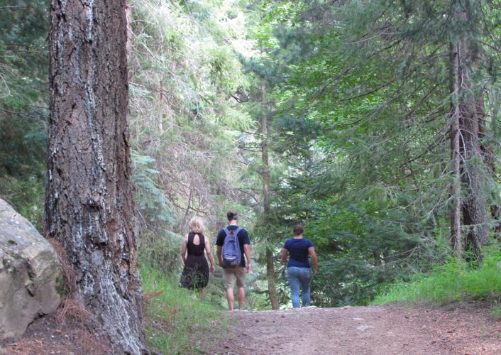 Hikers in the Catalina Mountains