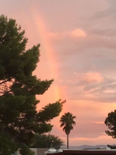 Monsoon photo contest