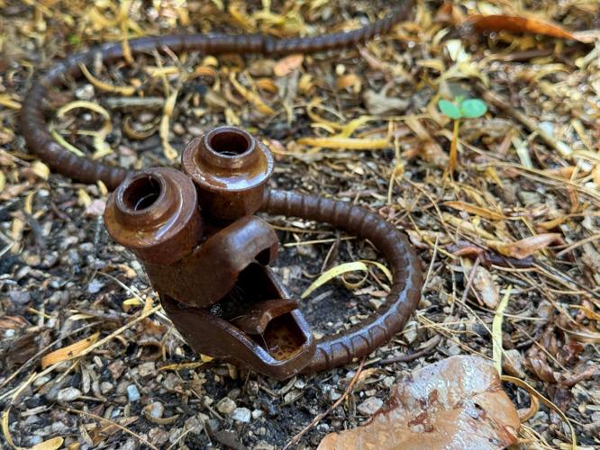 Metal snake sculpture