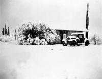 Saguaro National Park