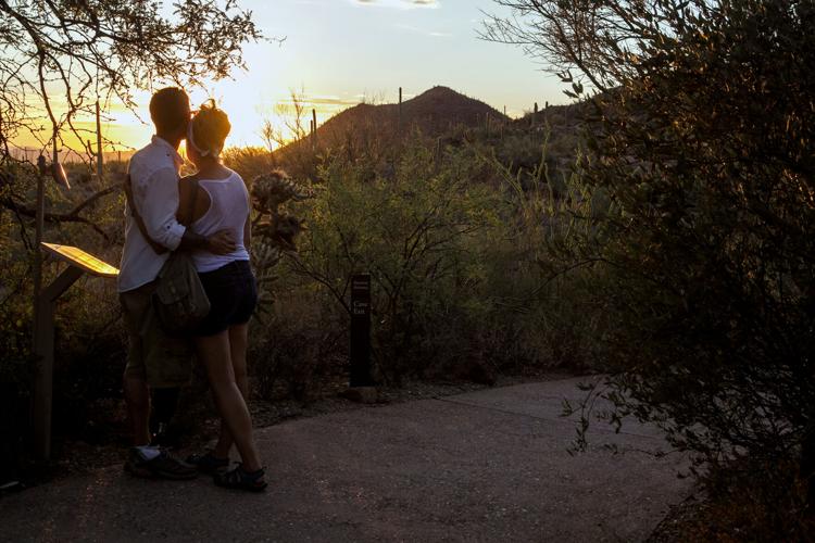 Arizona-Sonora Desert Museum