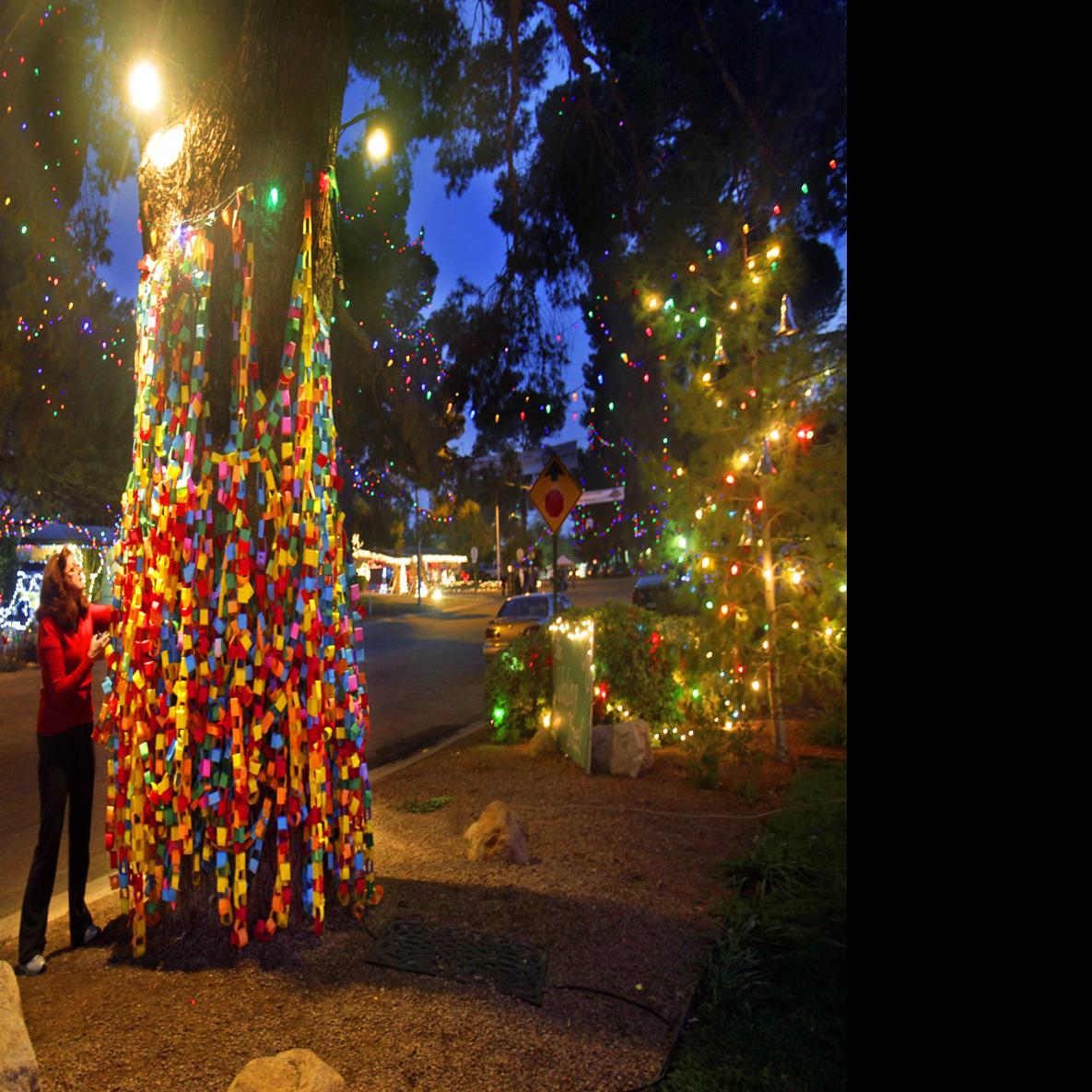 How Winterhaven S Wishing Tree Grew Out Of A 7th Grade Science