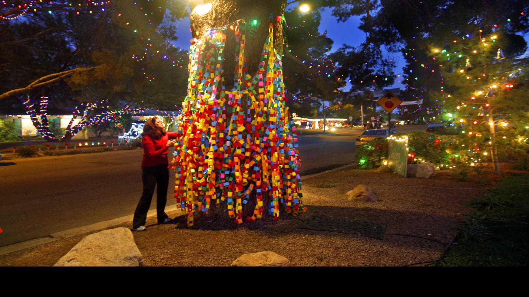 How Winterhaven S Wishing Tree Grew Out Of A 7th Grade Science