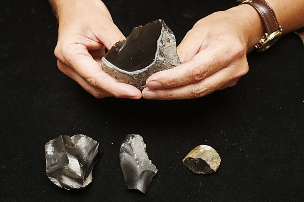 Flint tools tell of humans settling N. Europe far earlier than thought   