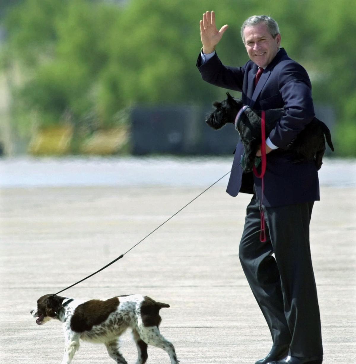 2001, Spot and Barney