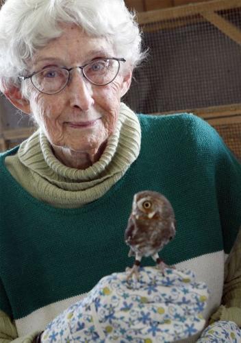 Wildlife rehabbers saving tiny lives