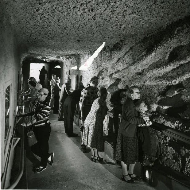 Tales from the Morgue: The Desert Museum tunnel opens