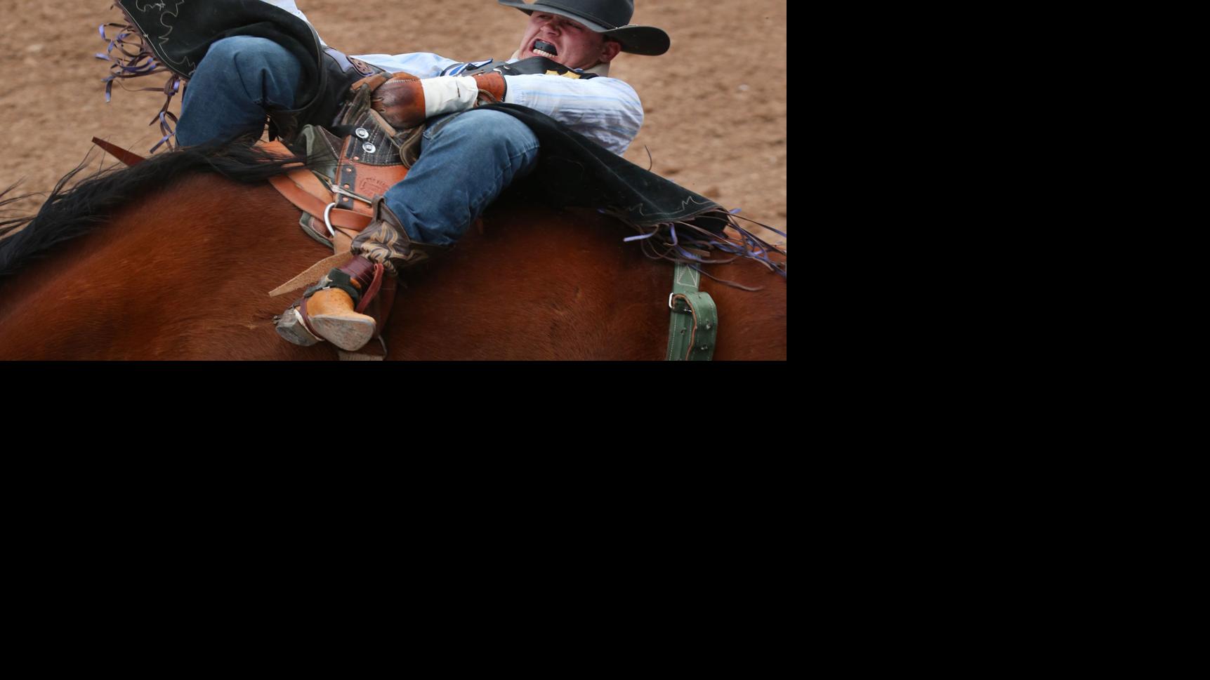 Photos from 2019 Tucson Rodeo Week