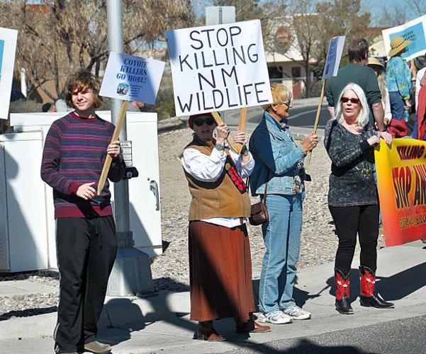 Predator hunt protest in New Mexico