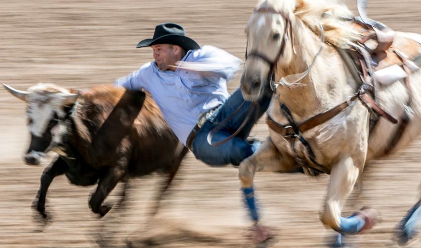 Tucson Rodeo