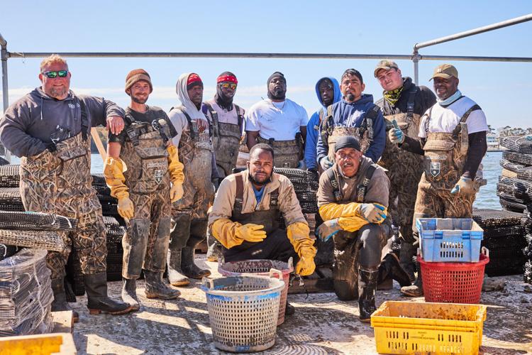 Cherrystone Aqua-Farms