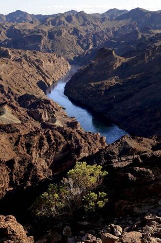 Colorado River