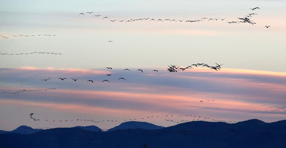 2017 Wings Over Willcox