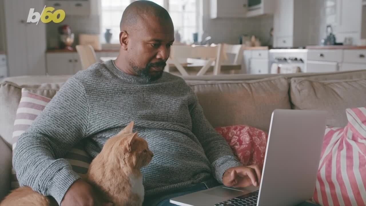 Inside the study: cat lady stereotype vs. reality
