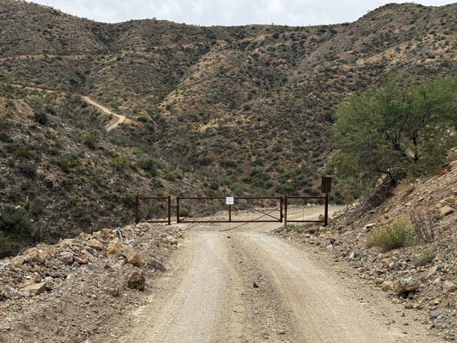 Advocates: Fast-track mine review put Arizona owl habitat at risk