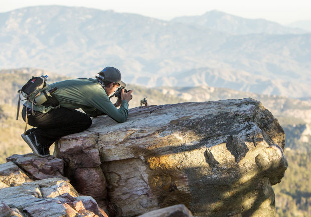 Fall colors on Mount Lemmon