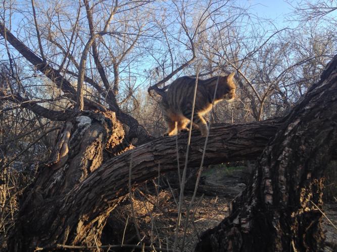 Happy National Dog Day!