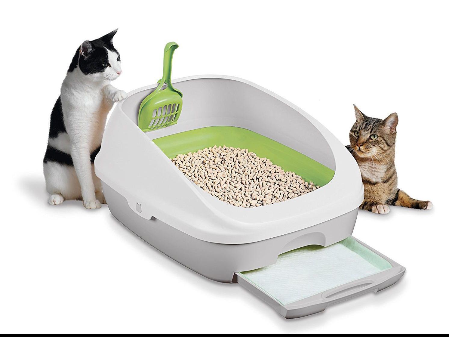 The Best Odor Free Cat Litter Boxes Home Garden Tucson Com