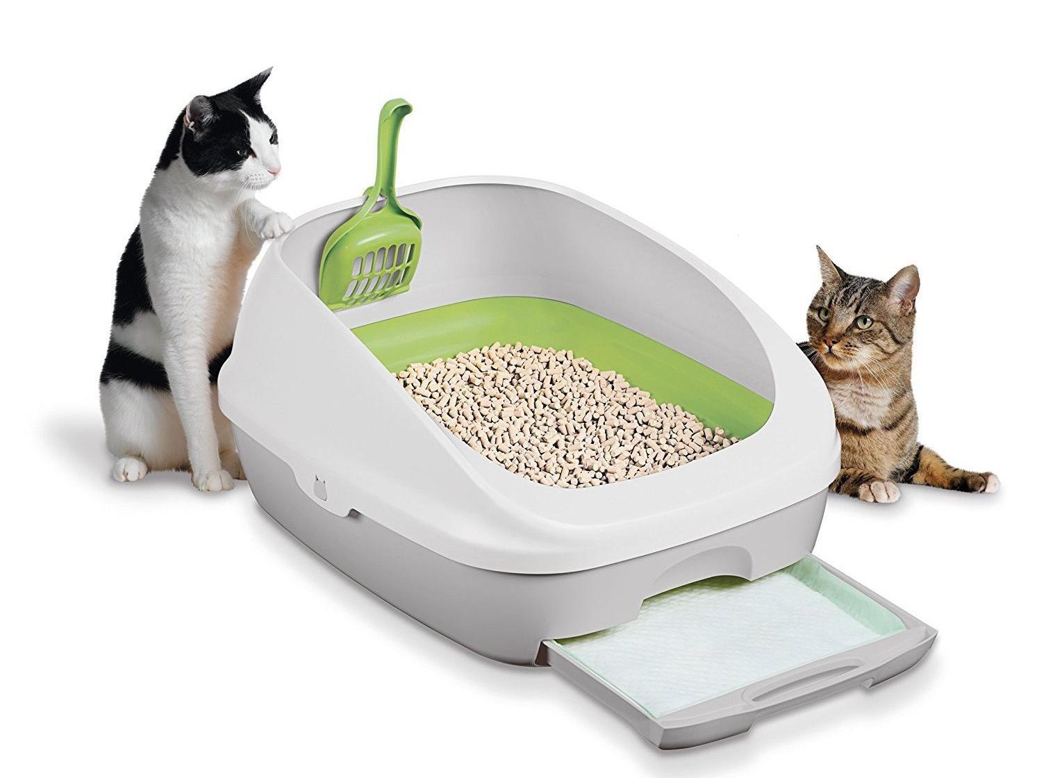 The Best Odor Free Cat Litter Boxes Home Garden Tucson Com