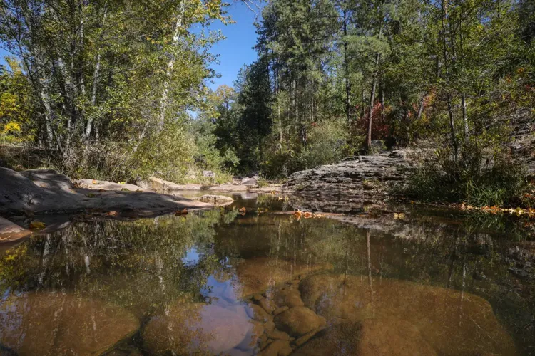 Mogollon Rim