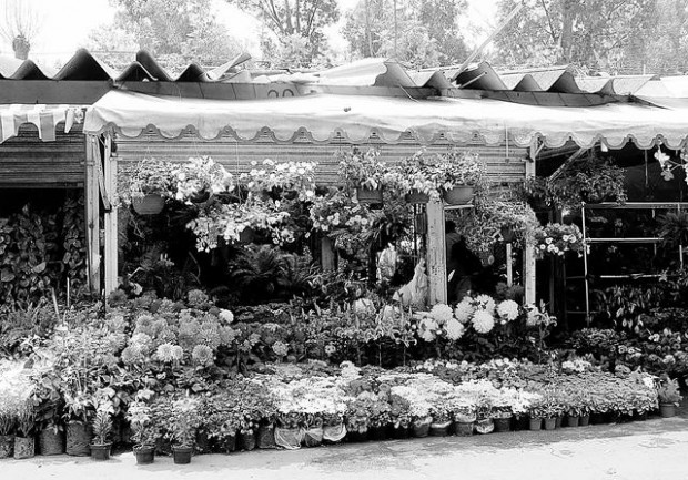 'Place of the flowers' endures in Mexico  