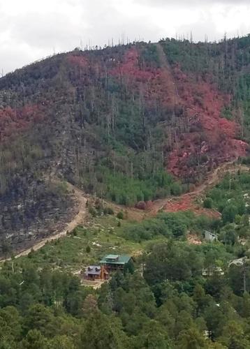 Bighorn Fire