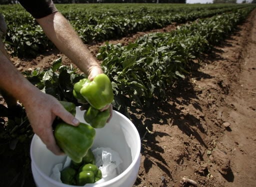 Roadtrip destination: Upickem