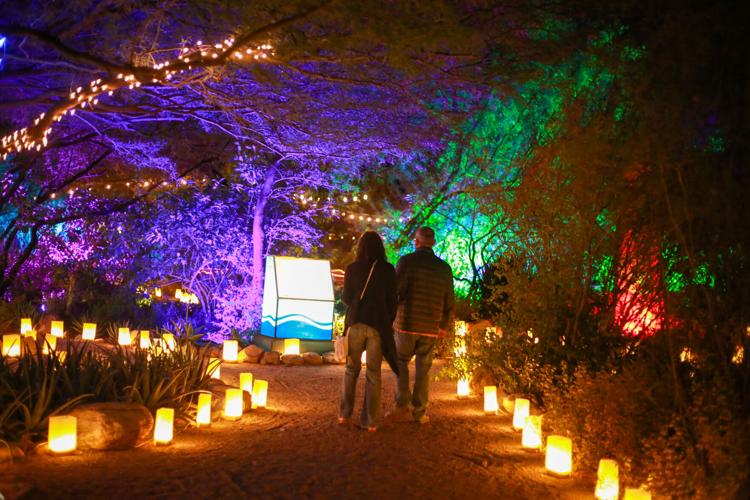 Tucson Botanical Gardens (copy)