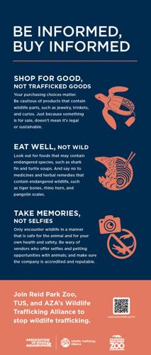 Wildlife trafficking poster (copy)