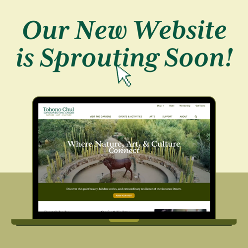 A New and Improved Online Experience Is Coming to Tohono Chul