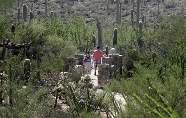 The Arizona-Sonora Desert Museum at 60 years old