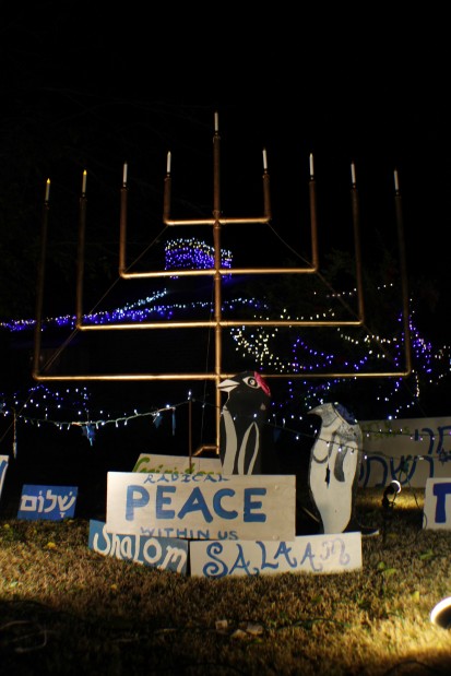 2012 Winterhaven Festival of Lights
