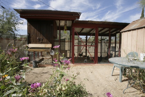 Zenhens co-op is all about coops    