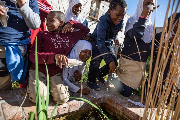Pond at The Hacienda at the River