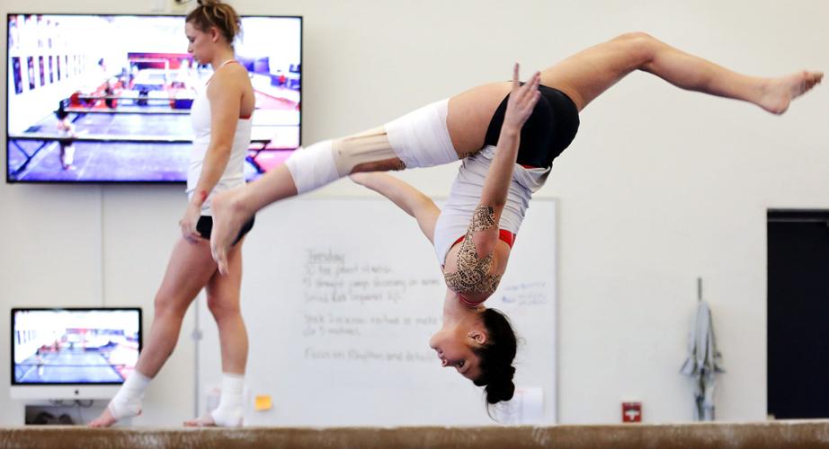 University of Arizona Wildcats gymnastics