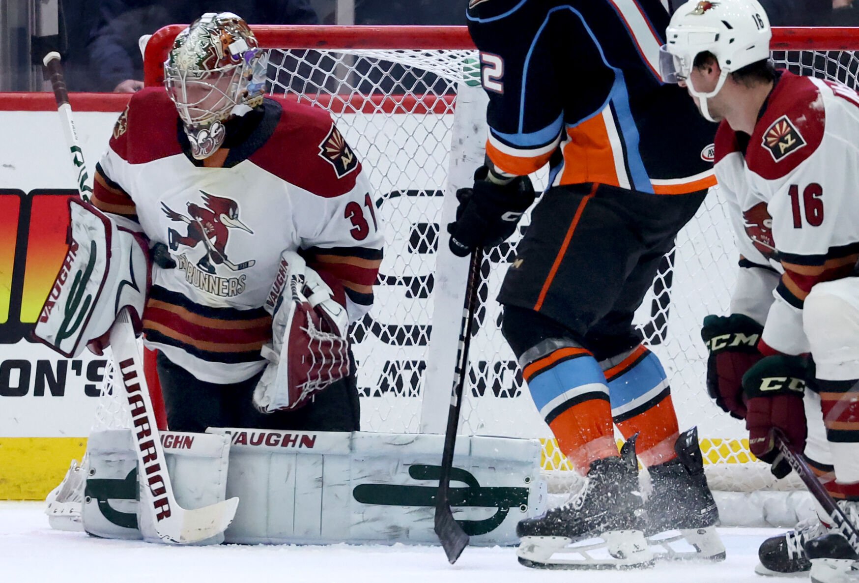 Tucson Roadrunners Clinch AHL Calder Cup Playoff Spot