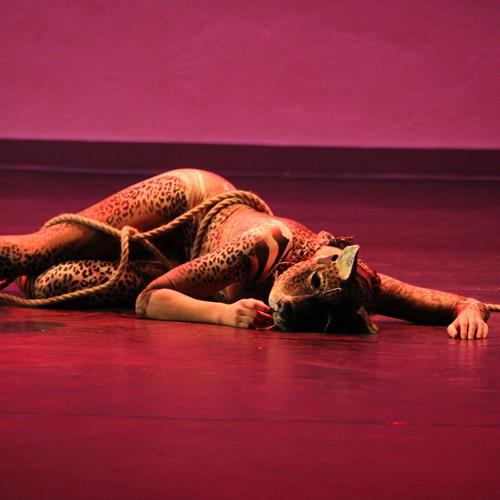 ‘Lost Roots’: A Sky Islands-Inspired Choreography
