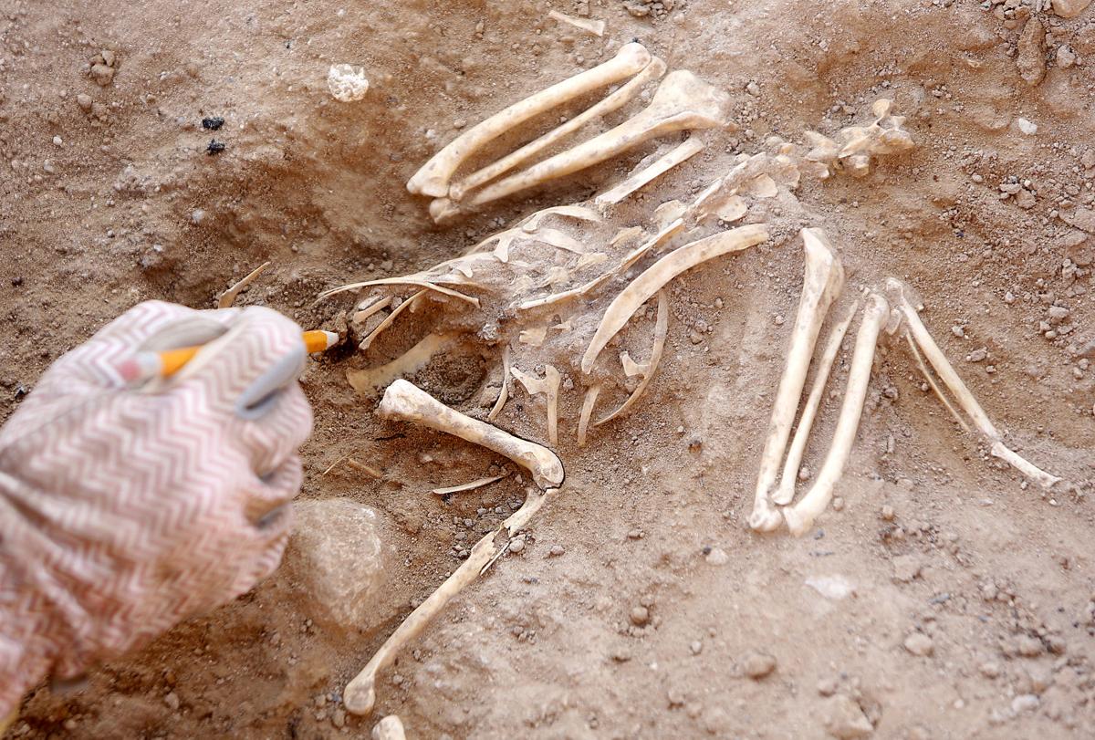 Desert Archaeology
