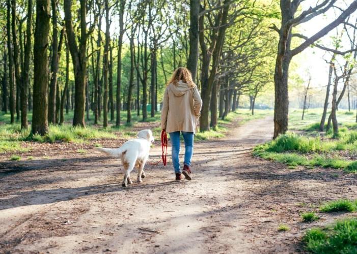 #2. Penn Wynne, Pennsylvania