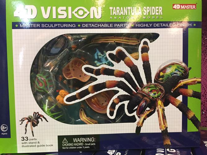 4-D Vision Trantula