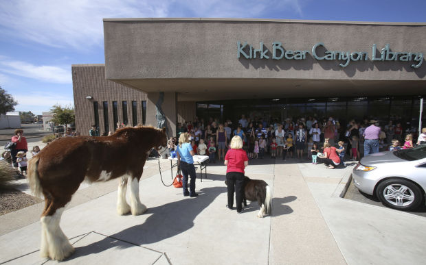 Step Up Into TLC horses