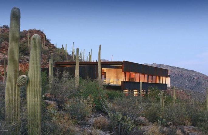 Vincent Gallo buys house in Tucson