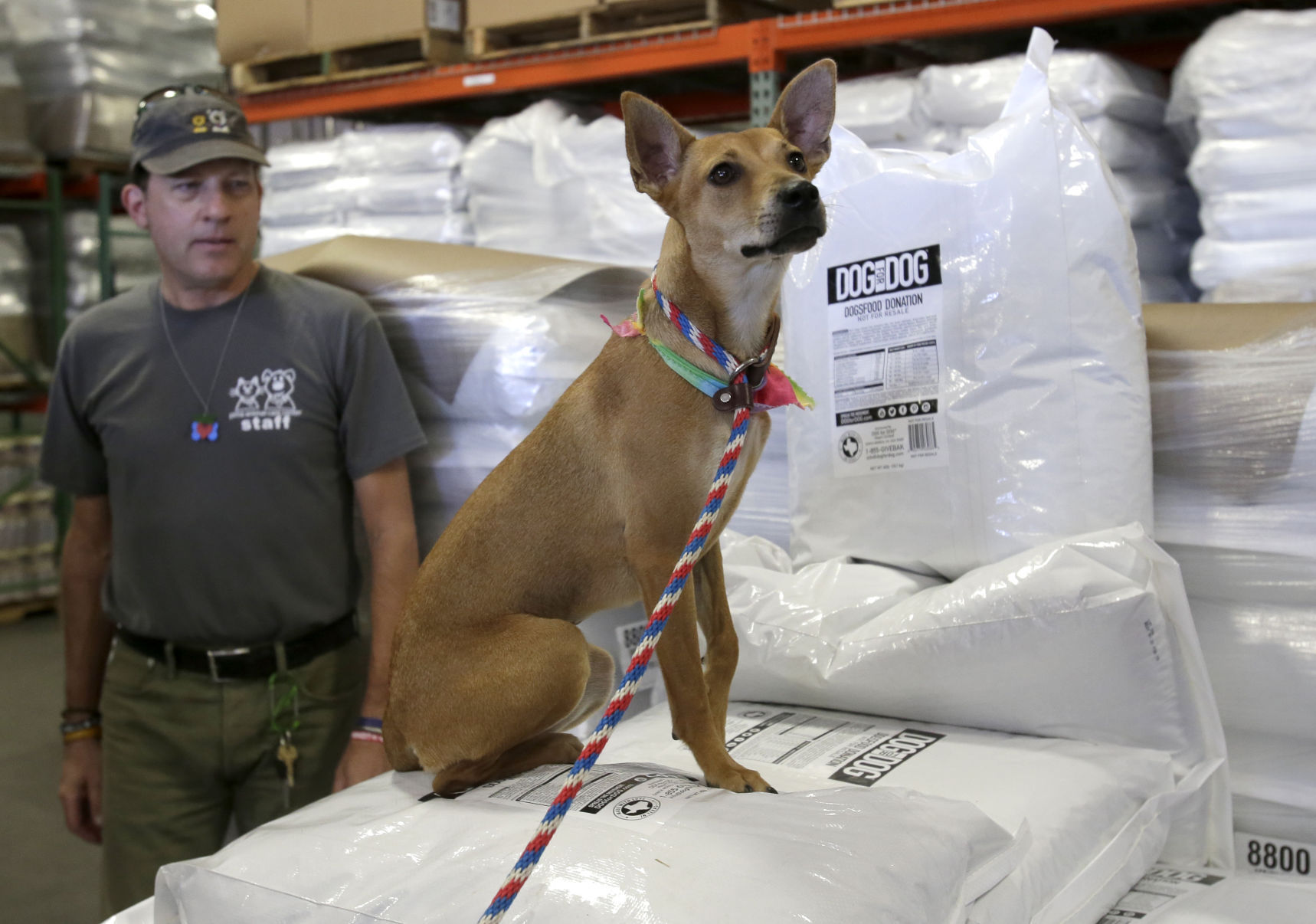 PetSmart Charities donates nearly two years of dog food to PACC