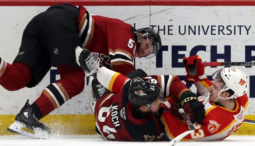 Roadrunners vs Calgary, AHL hockey (copy) (copy)