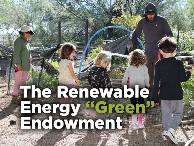 The Renewable Energy “Green” Endowment